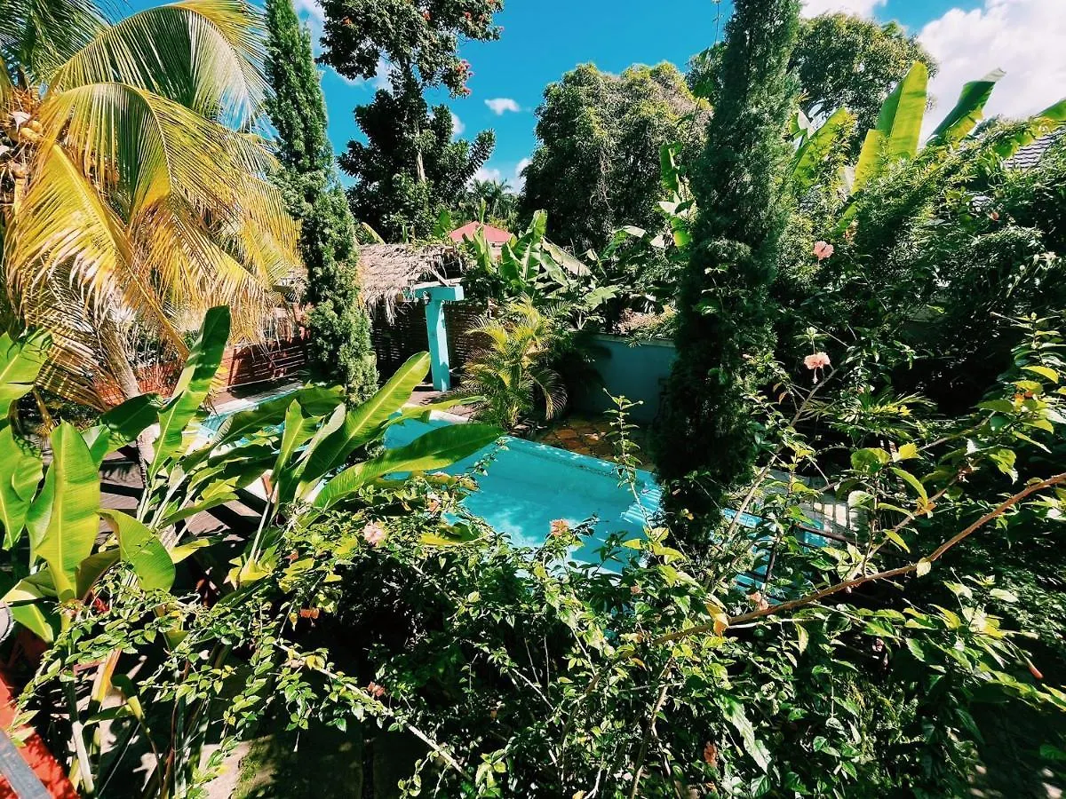 Hidden Gem @ White River Ocho Rios - Secluded Retreat For Two contacts